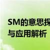 SM的意思探索：揭开心理学领域的标签含义与应用解析