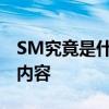 SM究竟是什么：深入了解其核心含义与相关内容