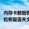 内存卡数据恢复软件：拯救你的珍贵数据，轻松恢复丢失文件