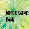 如何识别和理解CPU的型号规格？全面解析指南