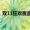 双11狂欢夜直播盛宴：购物狂欢与娱乐共舞