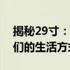 揭秘29寸：大小适中的屏幕尺寸如何改变我们的生活方式？