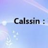 Calssin：引领未来的智能健身新革命