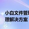 小白文件管理器TV版：您的智能电视文件管理解决方案