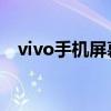 vivo手机屏幕出现条纹：原因与解决方案