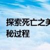 探索死亡之美：关于女性尸体解剖的研究和揭秘过程