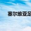 塞尔维亚足球：历史、现状与未来展望