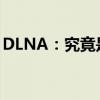 DLNA：究竟是什么意思？详解其概念及应用