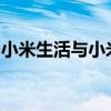 小米生活与小米：深度探究二者的关联与差异