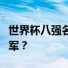 世界杯八强名单揭晓：群星闪耀，谁将成为冠军？