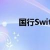 国行Switch：细节解析与市场洞察