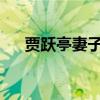 贾跃亭妻子甘薇的老赖标签背后的故事