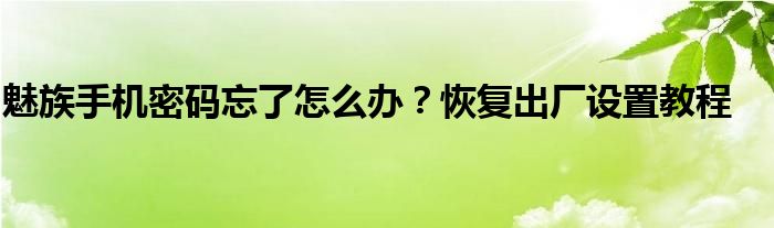 魅族pro5忘记密码怎么恢复出厂（魅族5忘记锁屏密码怎么恢复出厂）