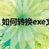 如何转换exe文件格式：一种详细的操作指南