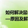 如何解决鼠标中间滑轮上下滚动失灵问题——原因及解决方法