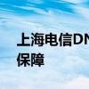 上海电信DNS服务器详解：速度与稳定性的保障