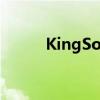 KingSoft文件夹介绍及功能解析