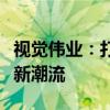 视觉伟业：打造卓越视觉体验，引领行业发展新潮流