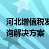 河北增值税发票真伪查询系统官网：一站式查询解决方案