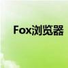 Fox浏览器：探索新一代网络体验的先锋