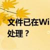 文件已在Windows资源管理器中打开，如何处理？