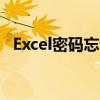 Excel密码忘记？如何撤销保护以恢复文件