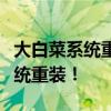 大白菜系统重装教程：从零开始，轻松搞定系统重装！