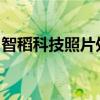 智稻科技照片处理工具：专业处理，高效便捷