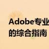 Adobe专业软件的全能应用：面向专业人士的综合指南