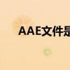 AAE文件是什么？如何打开和编辑它？