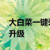 大白菜一键装机XP版：轻松实现系统安装与升级