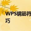 WPS钢筋符号输入全攻略：轻松掌握输入技巧