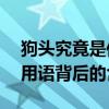 狗头究竟是何意思？——深度解析网络流行用语背后的含义