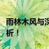 雨林木风与深度技术：哪个更好？深度对比解析！