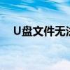 U盘文件无法删除的原因解析与解决策略