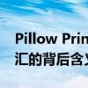 Pillow Princess：深度解析这一网络流行词汇的背后含义