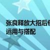 张良释放大招后使用辉月，是否会打断大招效果？详解技能运用与搭配