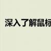 深入了解鼠标指针图标：演变、种类与应用