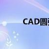 CAD圆弧标注的详细步骤和技巧