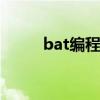 bat编程实战指南：从入门到精通