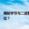 揭秘字节与二进制位的关系：一个字节究竟包含几个二进制位？