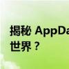 揭秘 AppData：什么是应用程序数据的隐藏世界？