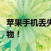 苹果手机丢失如何找回？全面指南帮你寻回失物！