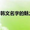 韩文名字的魅力与起源：探寻背后的文化故事