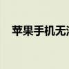 苹果手机无法发送短信的原因及解决方法