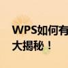 WPS如何有效压缩PPT文件大小？实用技巧大揭秘！