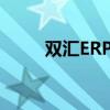 双汇ERP系统网址及相关信息解析