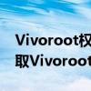 Vivoroot权限获取完全指南：一步步教你获取Vivoroot权限