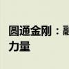 圆通金刚：融合传统与现代，展现智能物流新力量