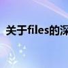 关于files的深入解析：定义、用途与重要性